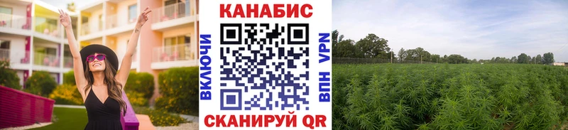 Названия наркотиков Ижевск Гашиш  Конопля  COCAIN  Alpha PVP  Меф мяу мяу 