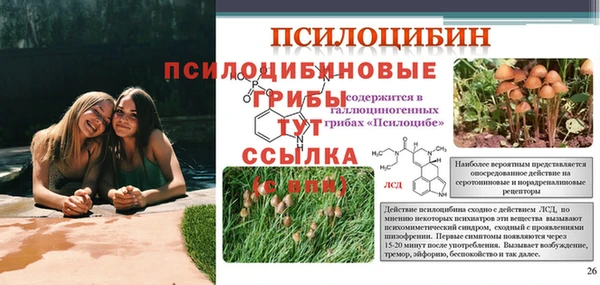 mix Алексин