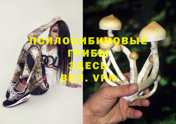 амфетамин Алексеевка