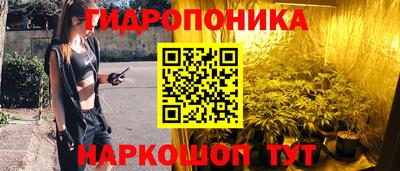 мяу мяу мука Ливны