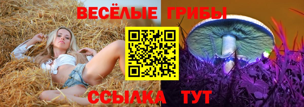 Ижевск  Галлюциногенные грибы Psilocybe  Вход с VPN 