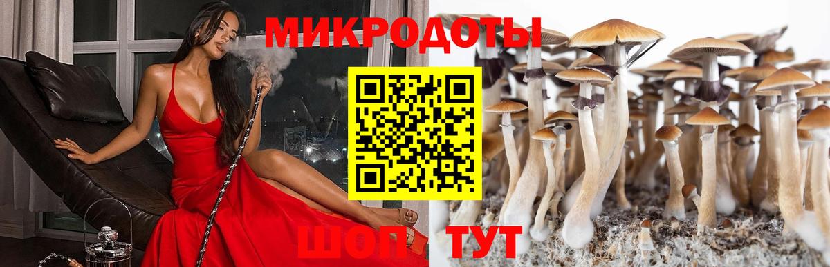 Псилоцибиновые грибы MAGIC MUSHROOMS Ижевск